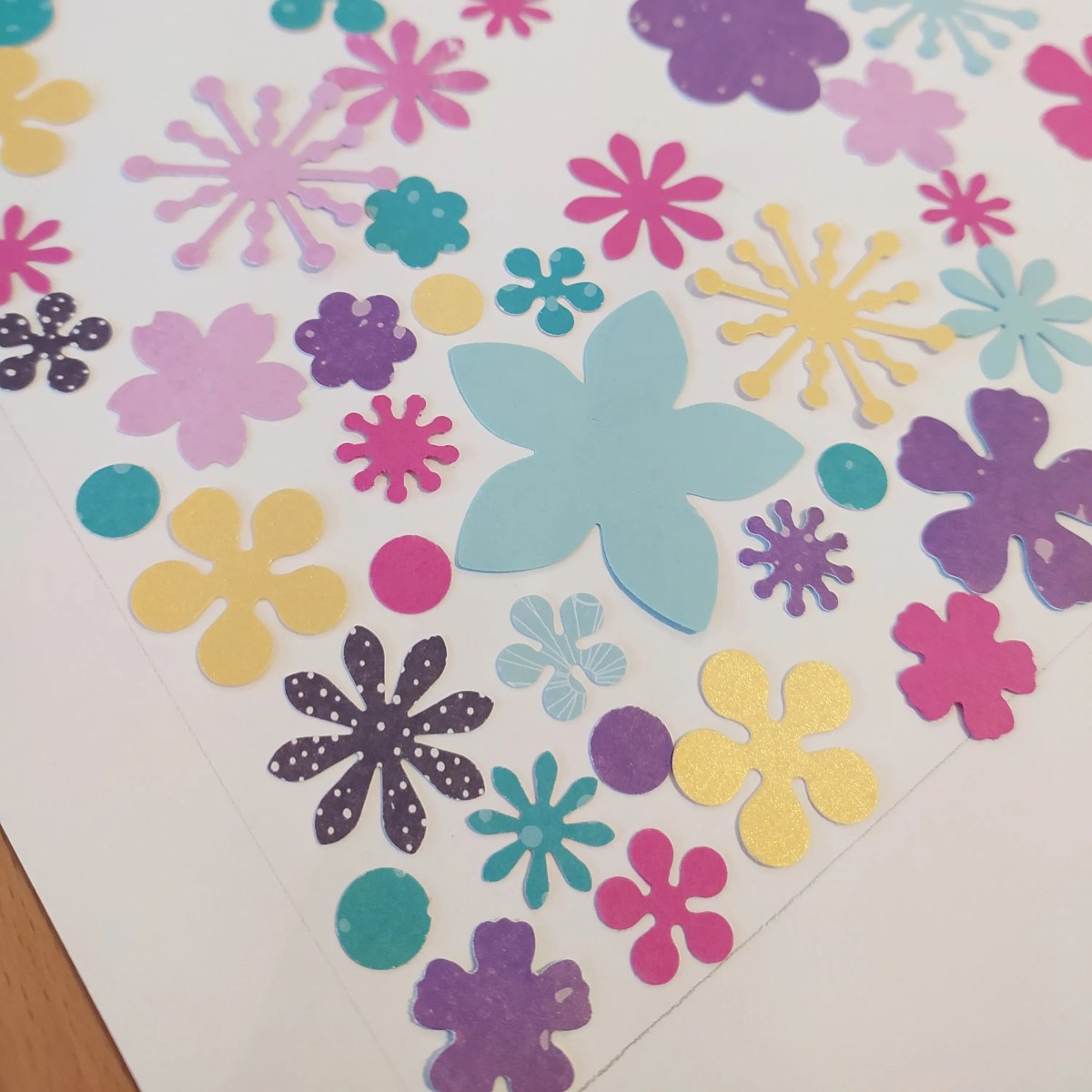 herbier de papier&nbsp;#243